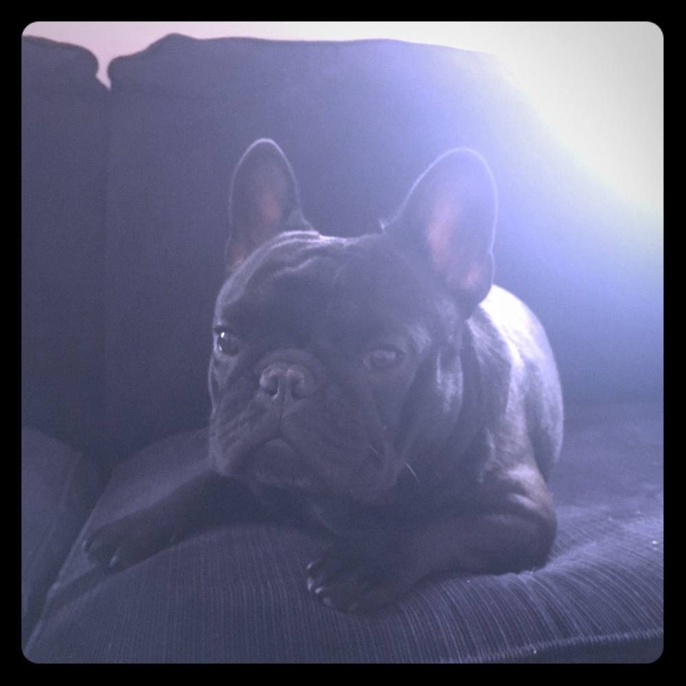 Meet your Posher, Katy